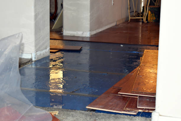 Professional Sewage Cleanup technician working in Wanette, OK